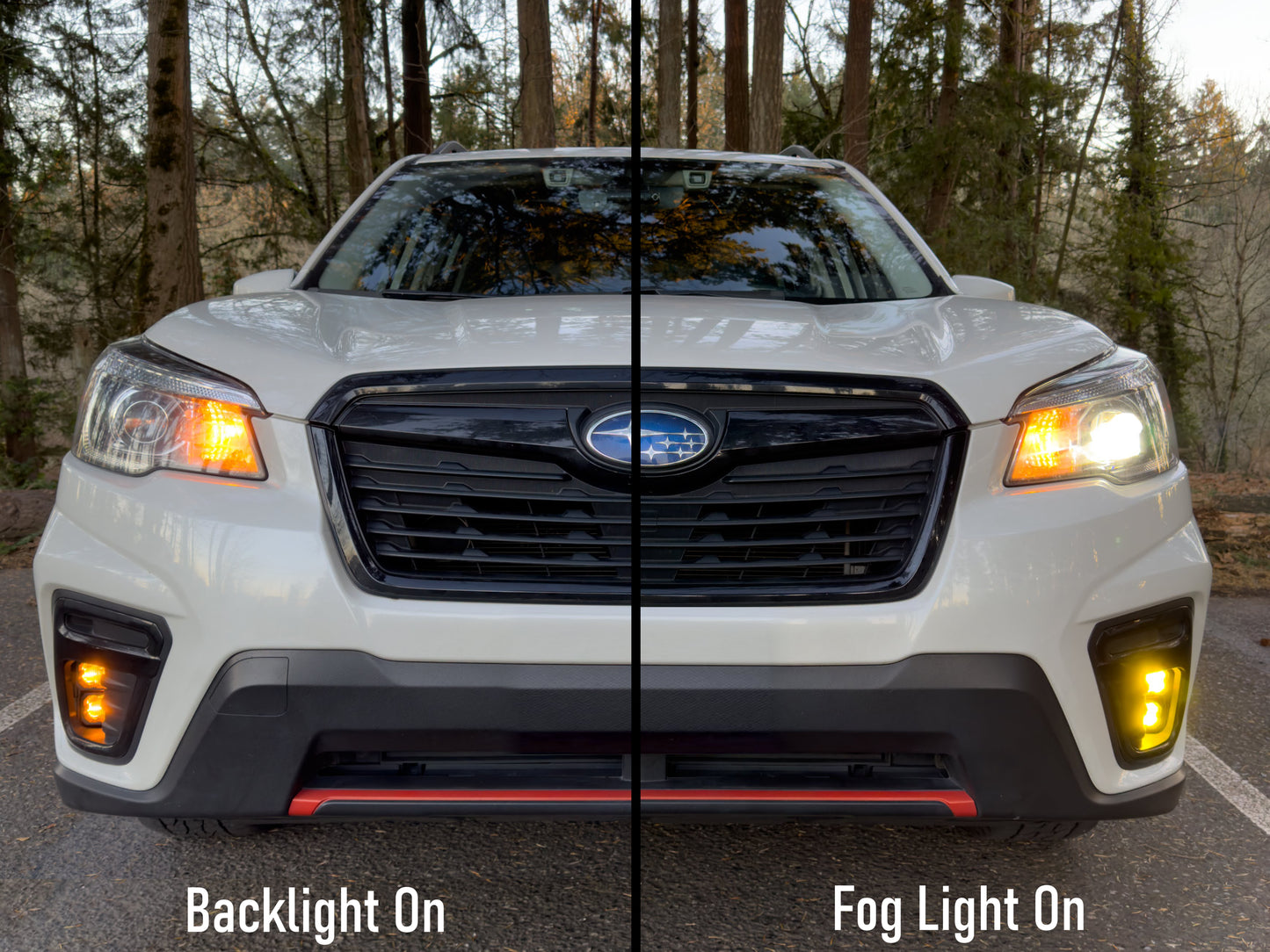 SSC1 LED Fog Light Kit for 2019-2024 Subaru Forester